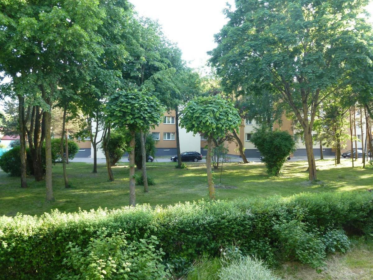 פלאנגה Studio Apartment "Balta" מראה חיצוני תמונה